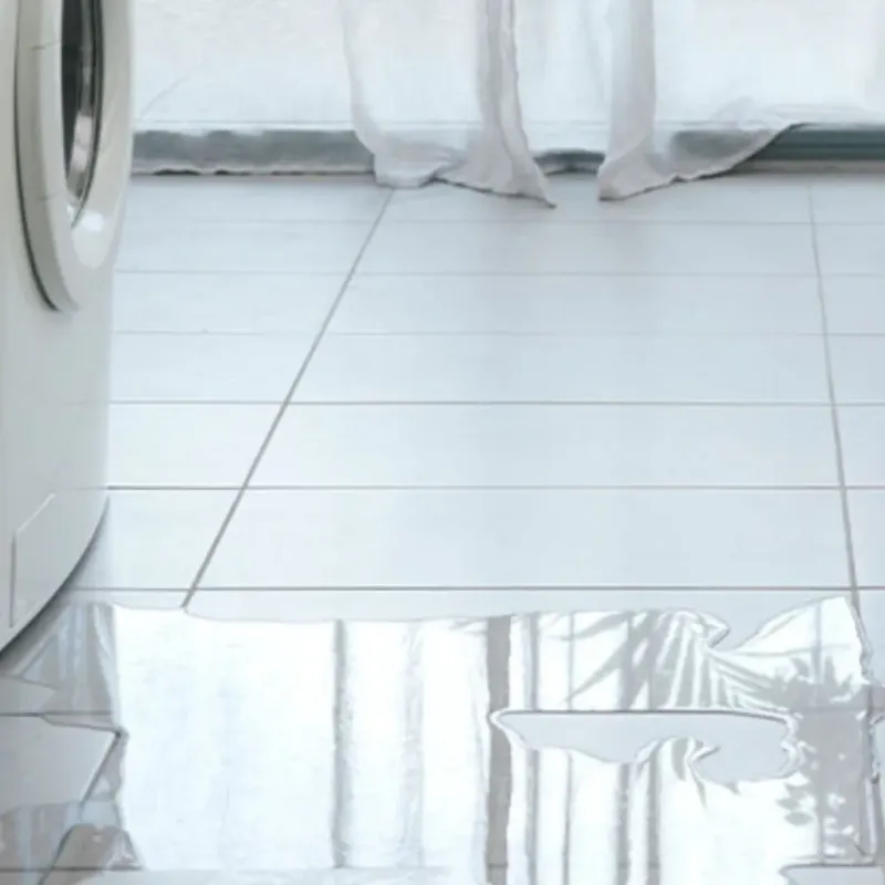 Appliance Leak Cleanup in Chelsea, MA